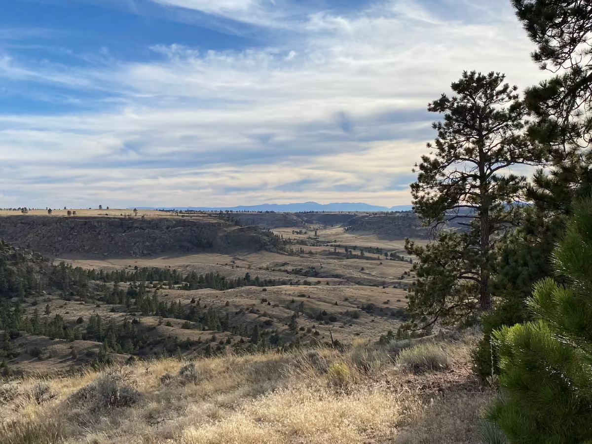 montana horse ranch airbnb rental cabin